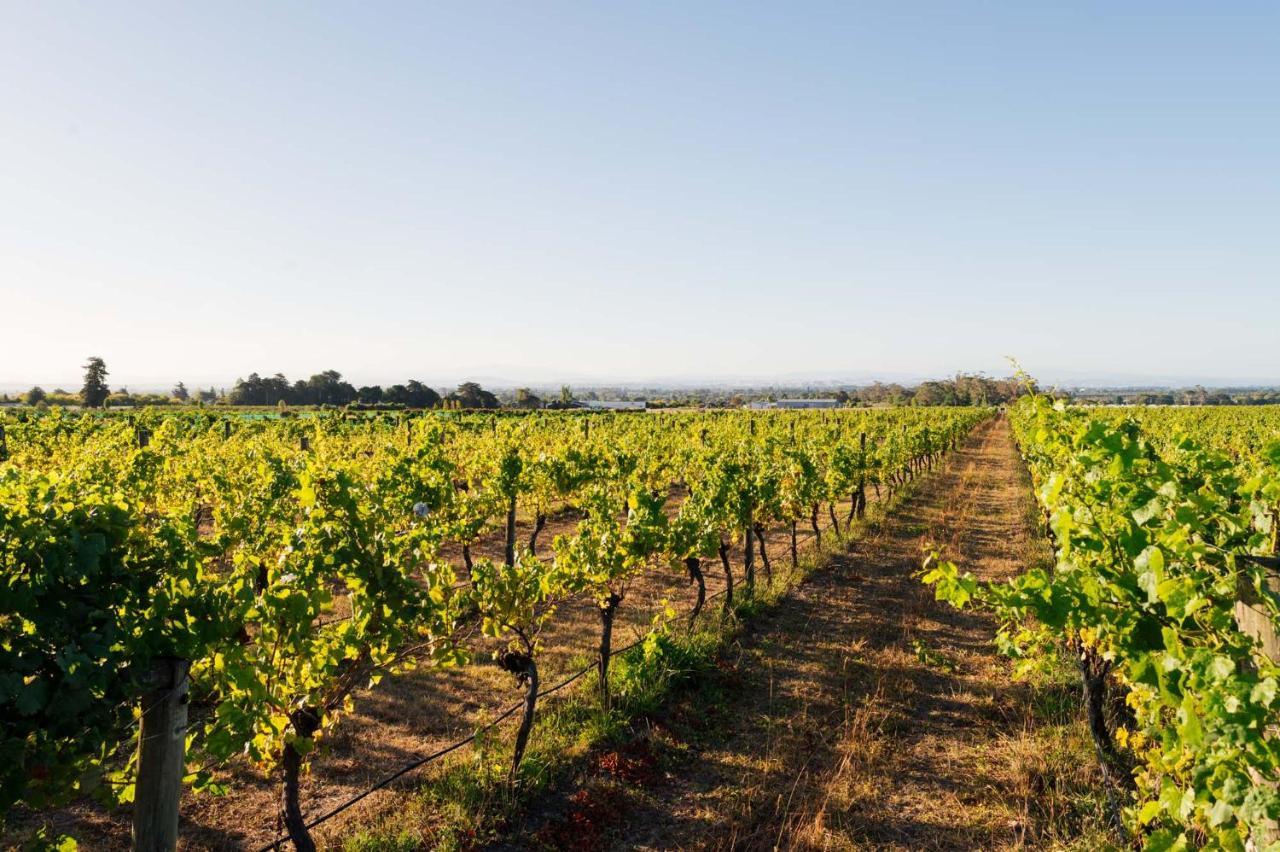 305 In The Vines Villa Havelock North Exterior foto