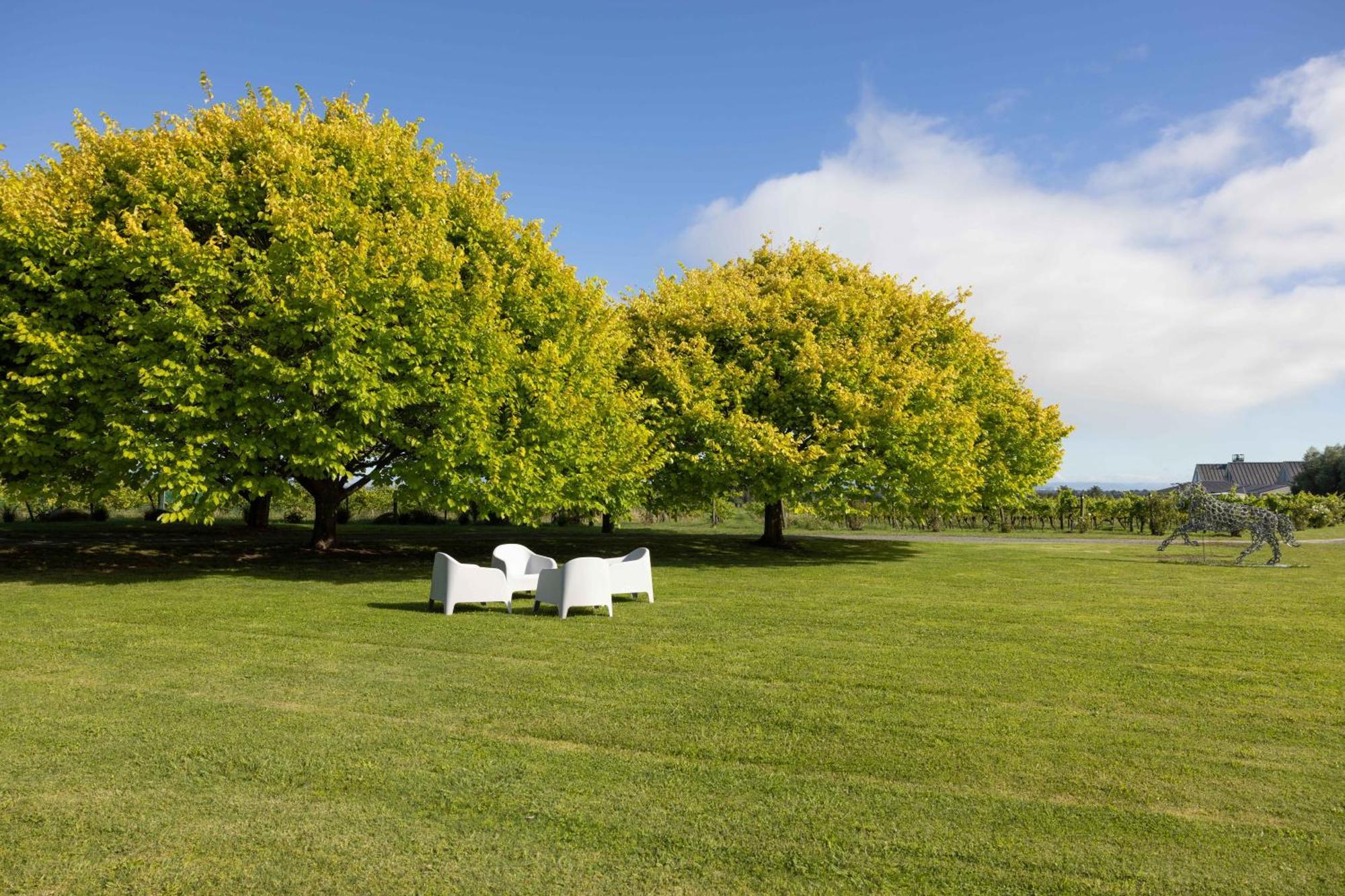 305 In The Vines Villa Havelock North Exterior foto